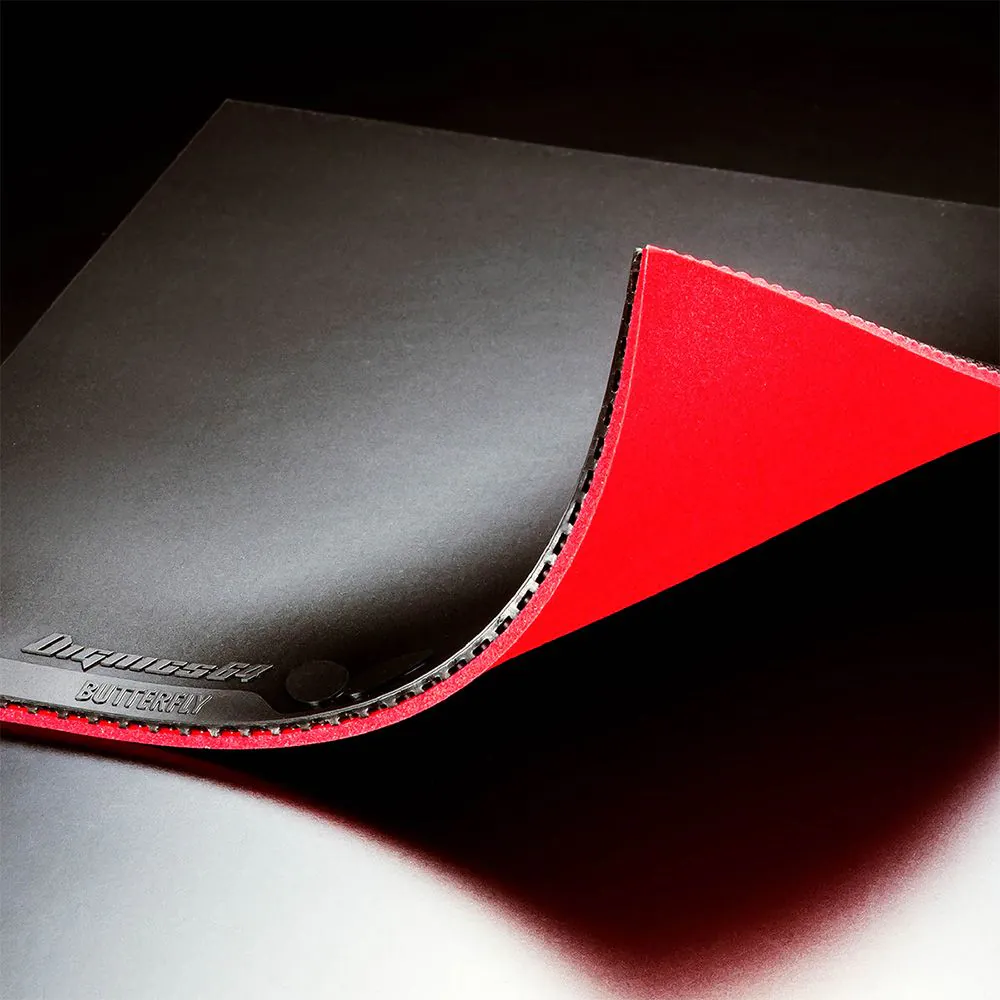 dignics 05 (copy) dignics 05 (copy)