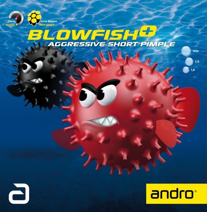 blowfish + blowfish +
